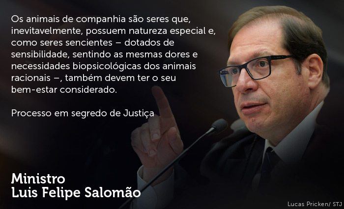 Animais de estimação: um conceito jurídico em transformação no Brasil